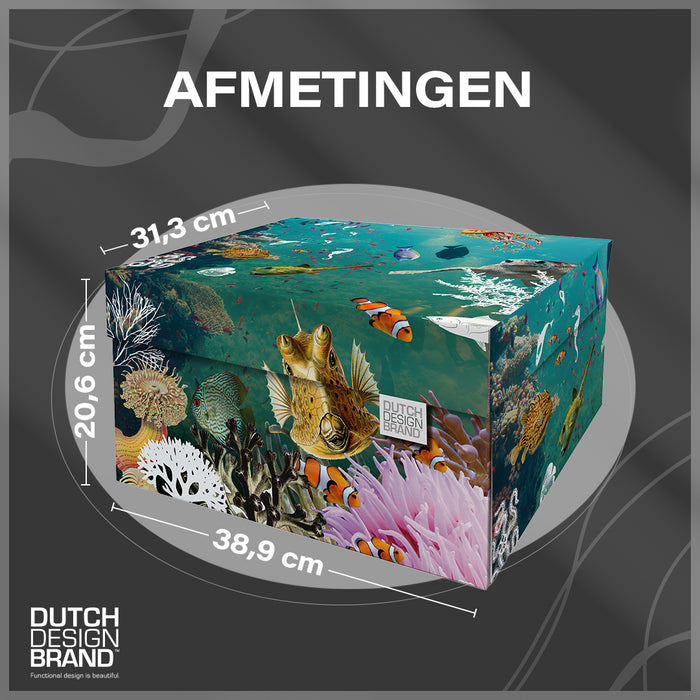 5675d6e6-4158-433e-814f-fffcee5e063a-sfeerbeeld.jpg (8135568) 