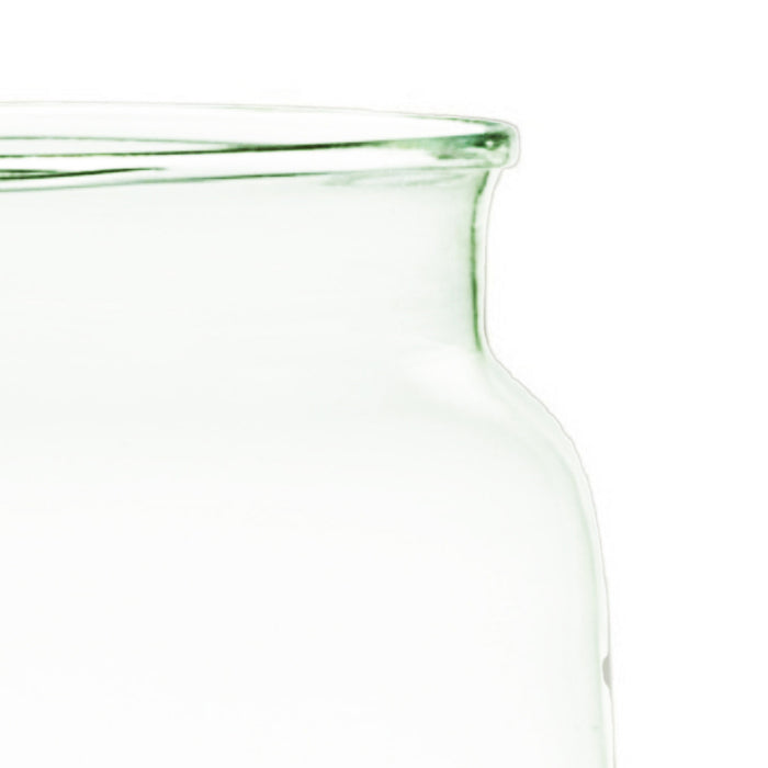 29c3dc02-5eae-4b49-8344-07160829cdb4-afbeelding4.jpg (8136213) 