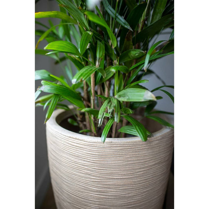 4608c2f2-aa61-4a94-afa2-14be0d285084-afbeelding6.jpg (8137197) 