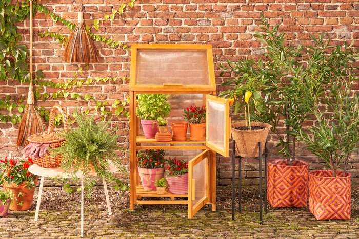 Mica Decorations Caminia Kweekkas M - L60 x B42 x H115 cm- Mahoniehout