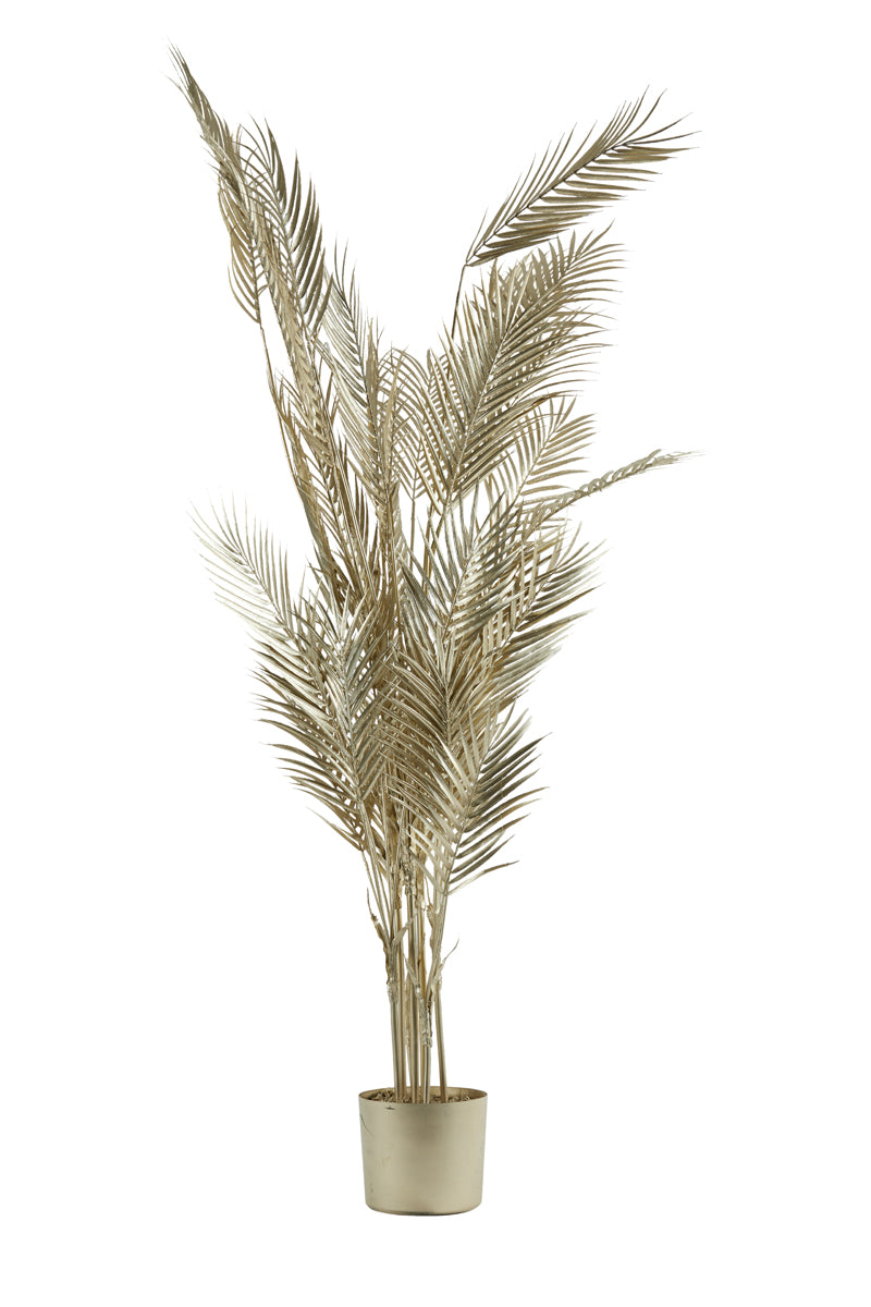 e59a8950-cd9d-4063-9f0e-6cf375826c62-vrijstaandbeeld.jpg (8143842) 