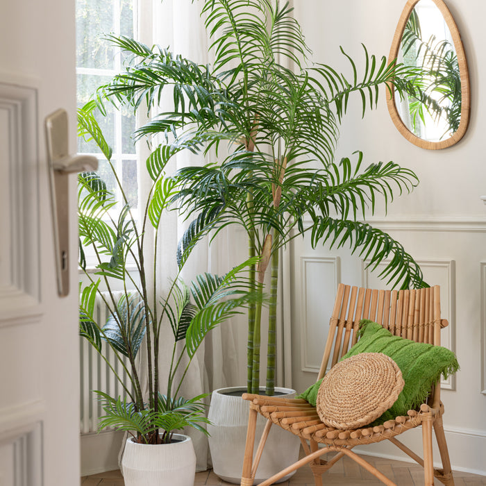 6659f66d-22a4-4d57-86fb-c8717f6ffbbe-afbeelding5.jpg (8146954) 