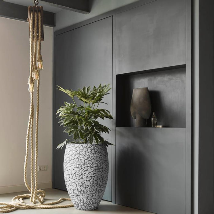 Capi Europe Nature Clay Vaas Deluxe 84 cm