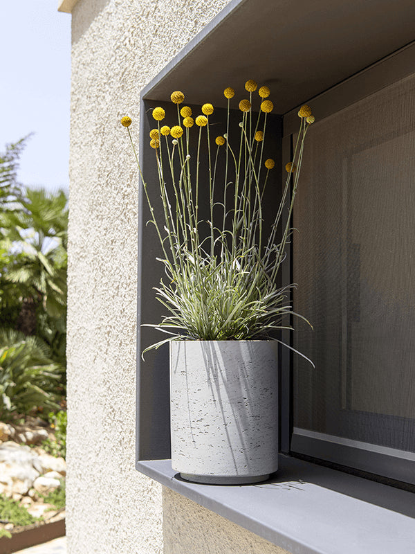 0034b02a-8332-4417-8af2-f329ca1095a8-afbeelding4.jpg (8166035) 