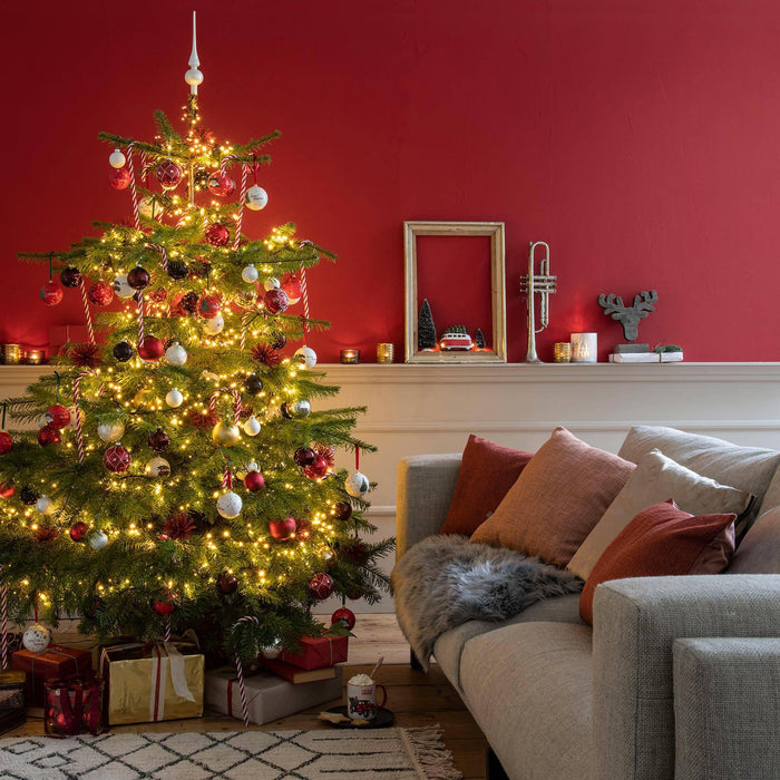 Plant&More - Nordmann Kerstboom 300 cm++ - Zonder Kluit