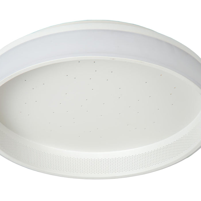 836df869-70b3-48e0-a636-2487585969d1-afbeelding3.jpg (8172698) 