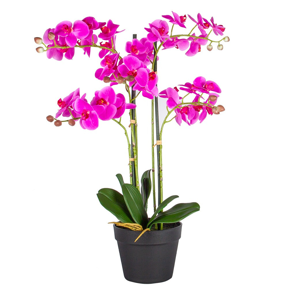 HTT Decorations - Kunstplant Orchidee XL 5-tak roze 68 cm hoog