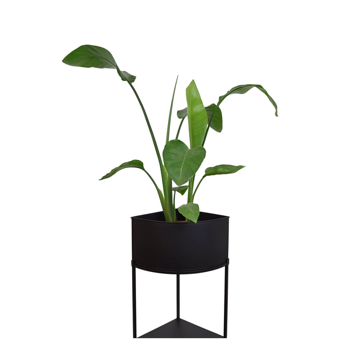 LOFT42 Flora hoek plantenbak - Metaal - Zwart