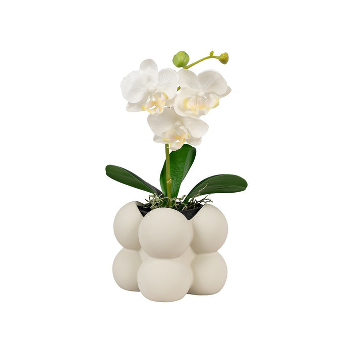 ad3eb62c-41f5-4a8c-ae98-db6a4c673137-afbeelding4.jpg (8203609) 