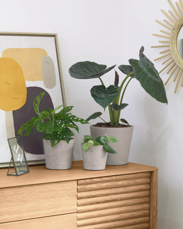 Kave Home - Low set van 3 bloempotten grijs Ø 23,5 cm | Ø 16,5 cm | Ø