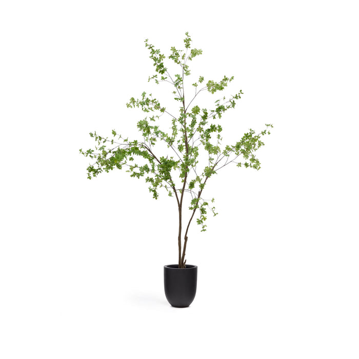 Kave Home - Enkianthus-kunstboom met zwarte pot 214 cm