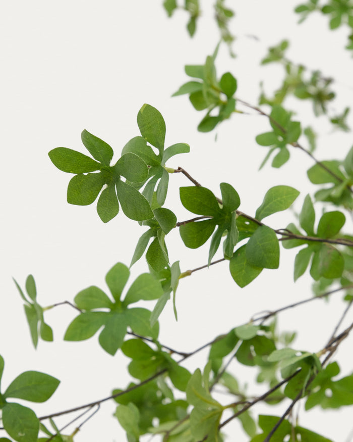 Kave Home - Enkianthus-kunstboom met zwarte pot 214 cm