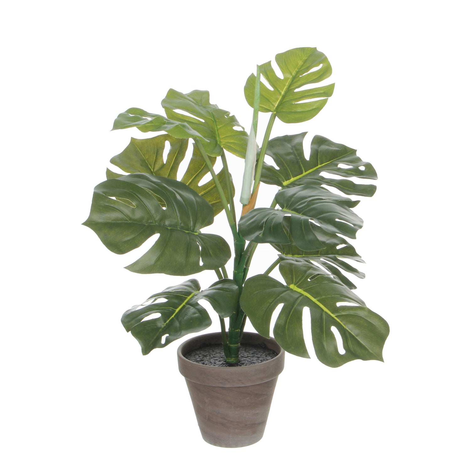 Mica Decorations Monstera Kunstplant - H48 x Ø39 cm - Groen