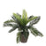Mica Decorations Cycas Palm Kunstplant - H33 x Ø34 cm - Groen