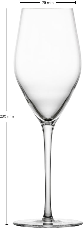 Schott Zwiesel Bar Special Champagneglas - 302ml - 4 glazen