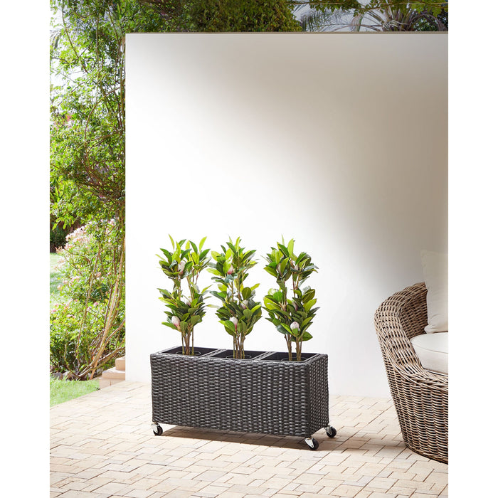 e72cd418-3c4c-4e6e-8733-26feef6d1acf-sfeerbeeld.jpg (8326594) 