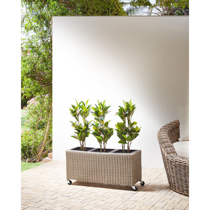 de8d0137-e2cd-4eac-b210-91be8957e413-sfeerbeeld.jpg (8328213) 