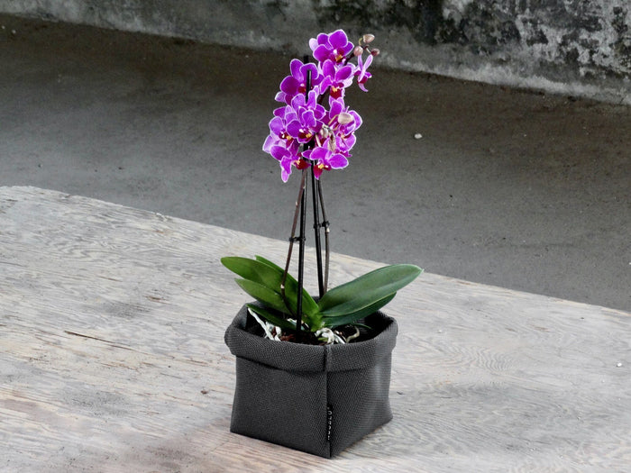 c0170936-0a07-455c-af99-7eafe4e18407-afbeelding8.jpg (8337074) 