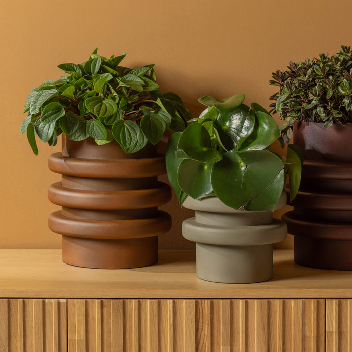 862ae494-0cf9-499c-b90b-6c1dd6384b31-afbeelding5.jpg (8350439) 