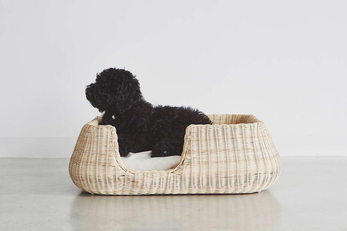 7587bf2a-fe7c-4ea6-a446-15325403dcba-afbeelding8.jpg (8362628) 