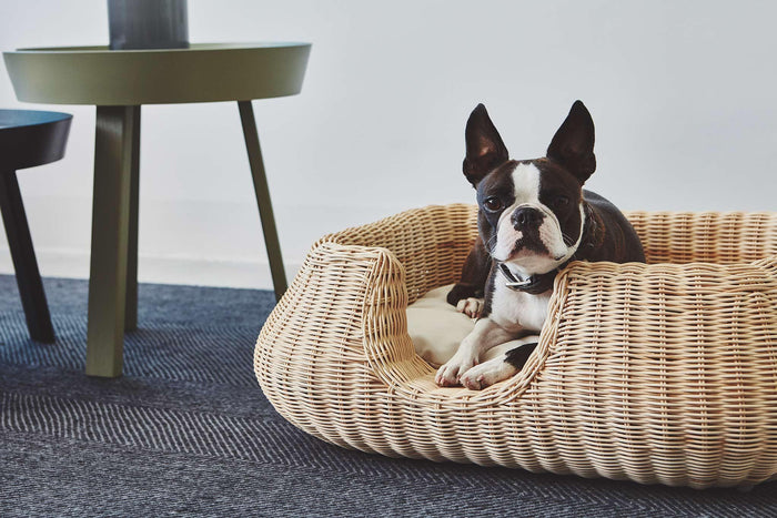 962f9240-60d6-49a3-bf19-d0ecbdfef7de-afbeelding10.jpg (8362739) 