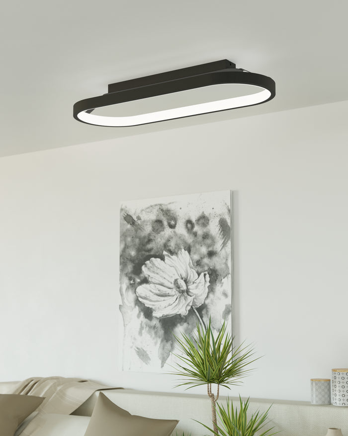 3bff17ea-701b-437a-b748-03ba14d9cae4-afbeelding7.jpg (8379457) 