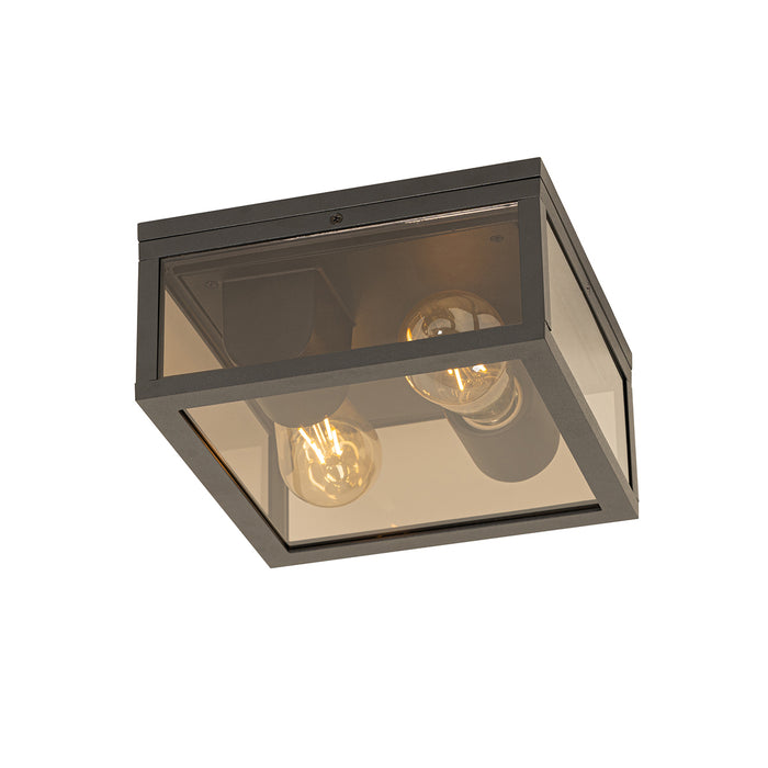 QAZQA Plafondlamp zwart met smoke glas 2-lichts IP44 - Charlois