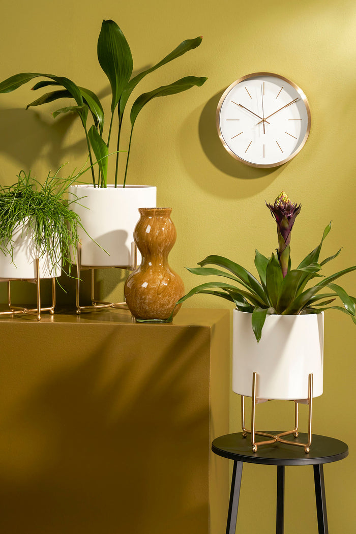 6c3c296e-8771-40fa-9c34-bc27756c56a7-afbeelding6.jpg (8397089) 