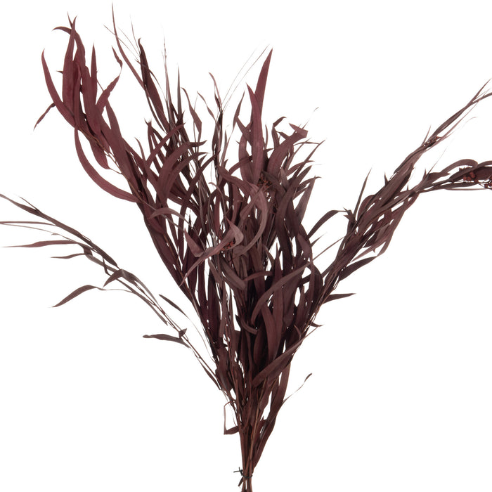 J-Line droogbloemen - Bundel Eucalyptus Wild - bordeaux