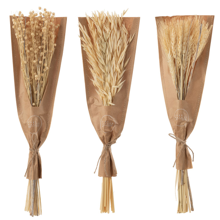 J-Line droogbloemen - Bundel gedroogde bloemen - naturel - 3