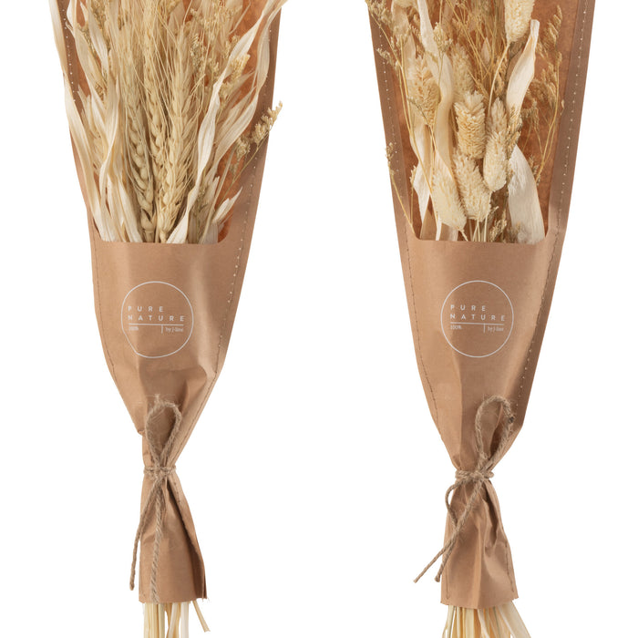 J-Line droogbloemen - Bundel gedroogde Avana gras - naturel