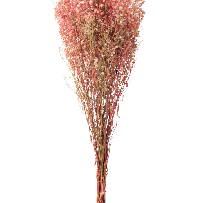 J-Line droogbloemen - Bundel Gypsophilia Gedroogd - riet - r