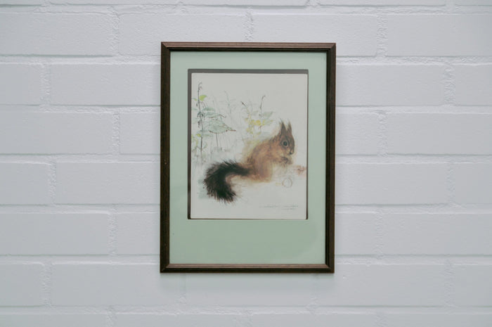 Reliving Lijst Groen Passe-Partout Eekhoorn