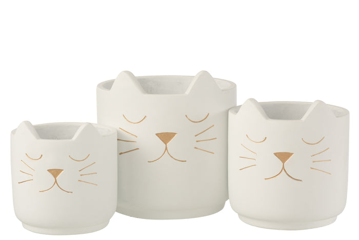 4e643949-aa48-4cf7-b00b-73a2e23fd751-sfeerbeeld.jpg (8480046) 