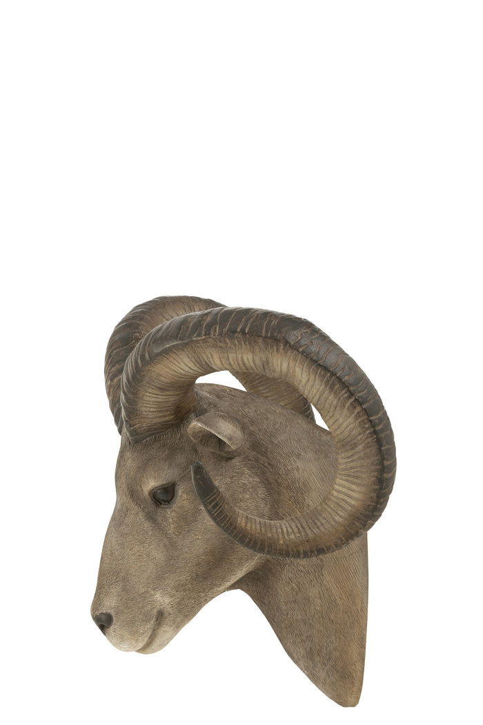 b126e22c-f0d0-48a3-bf0b-cf1e8b384a3c-sfeerbeeld.jpg (8883201) 