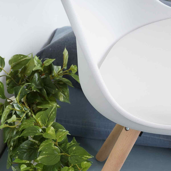 e7234b0d-f3fe-41db-8396-716e2edff118-afbeelding9.jpg (8945879) 