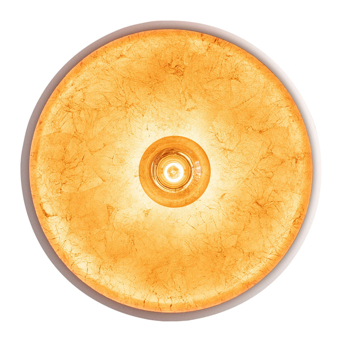 291482-x06-202408240921-C.jpg (8964575) 