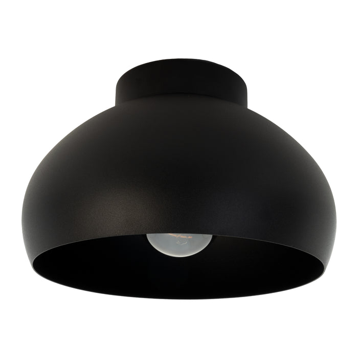 2_101056293-x01-202408240921-C.jpg (8964580) 