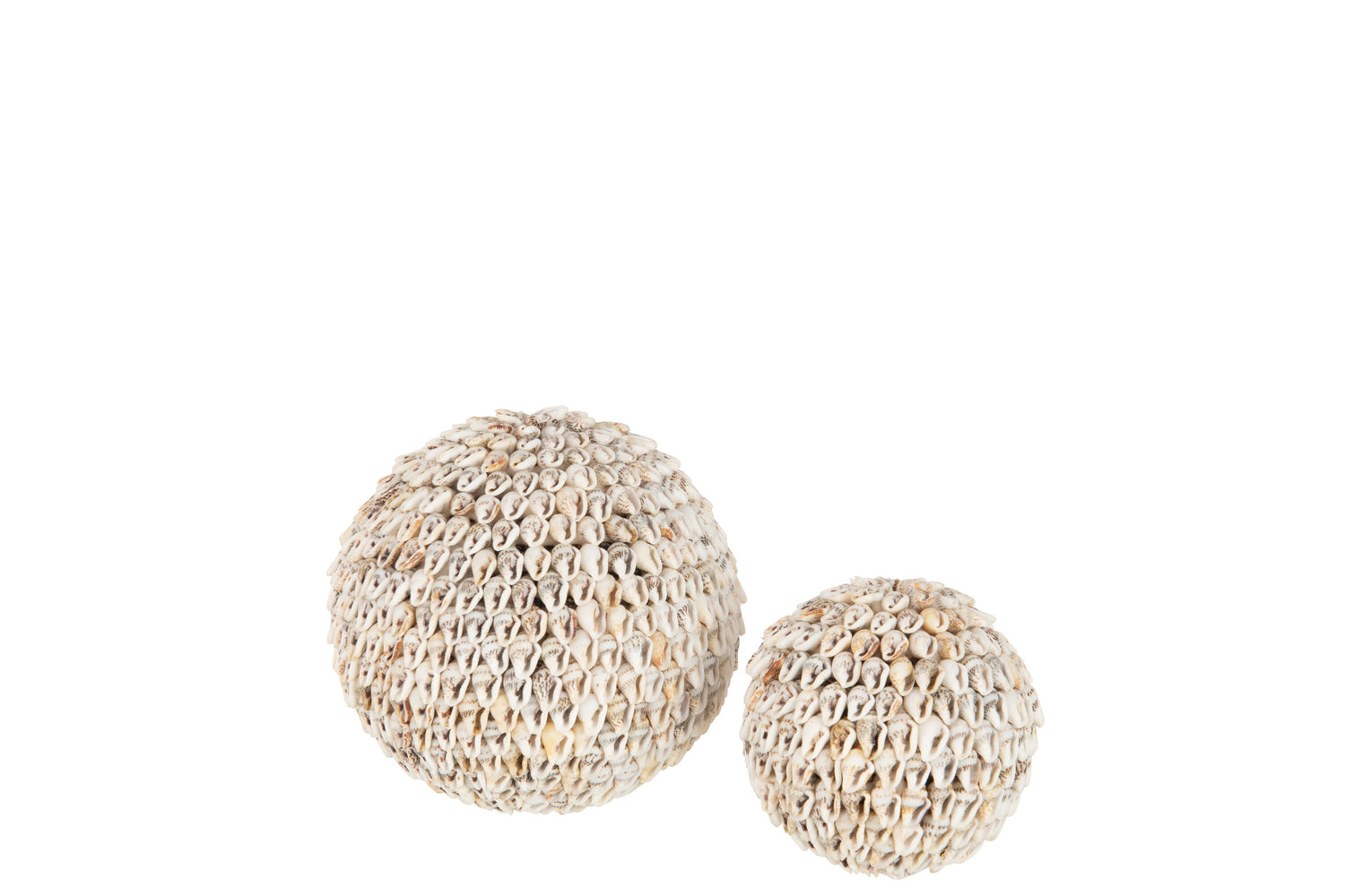 J-Line decoratie Bol Schelpen Noa - steen - naturel - large