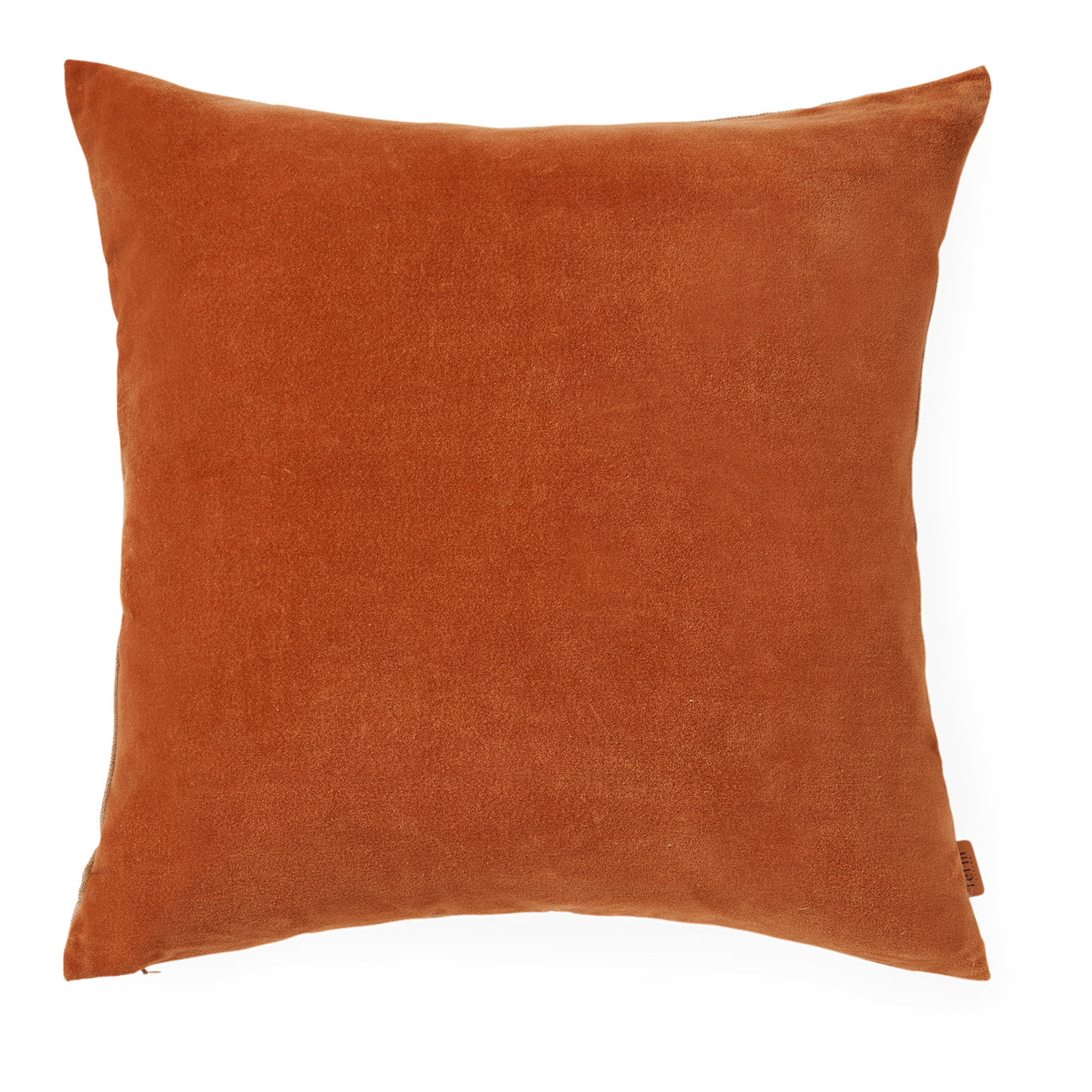 324743-x00-202408290012-C.jpg (8974954) 