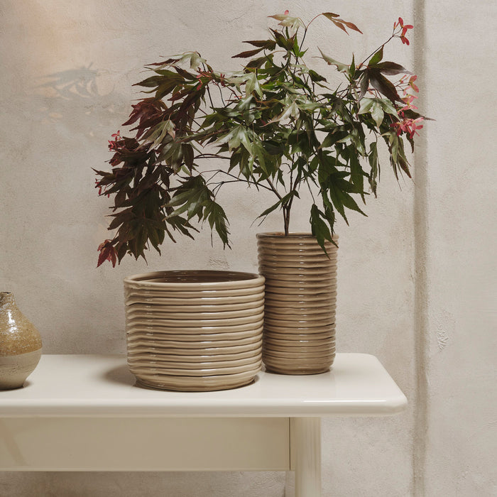 324728-x01-202408290022-A.jpg (8975116) 