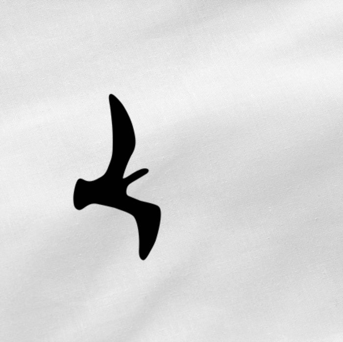 Blanc Kussensloop Trip