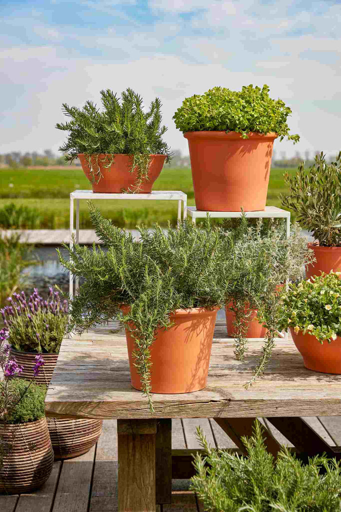 Mica Decorations Plantenbak Lua - 50x50x40.5 cm - Klei - Terracotta