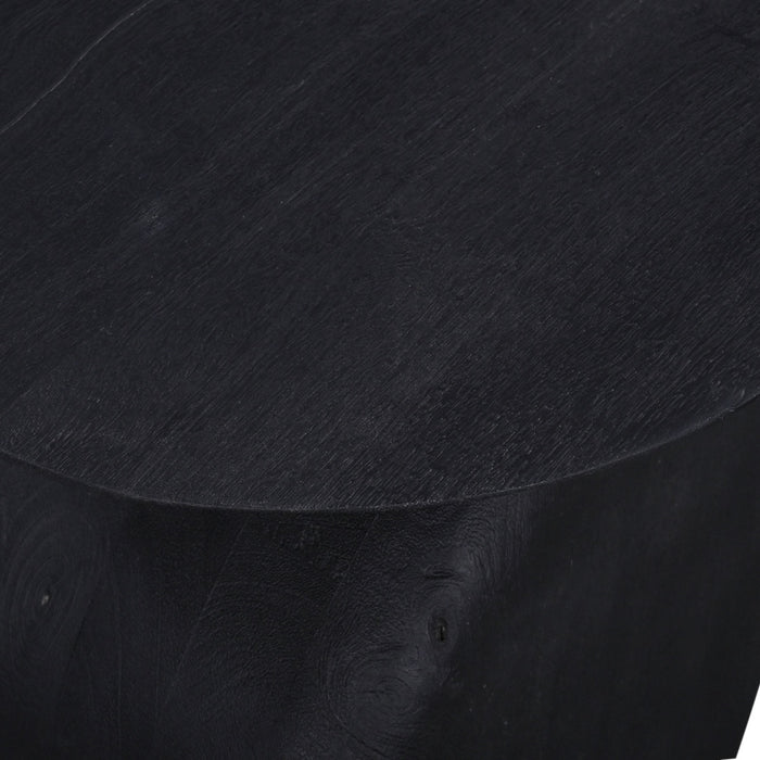 Giga Meubel - Bijzettafel Organisch - Zwart Mangohout - 45x35x45cm - Ebbe