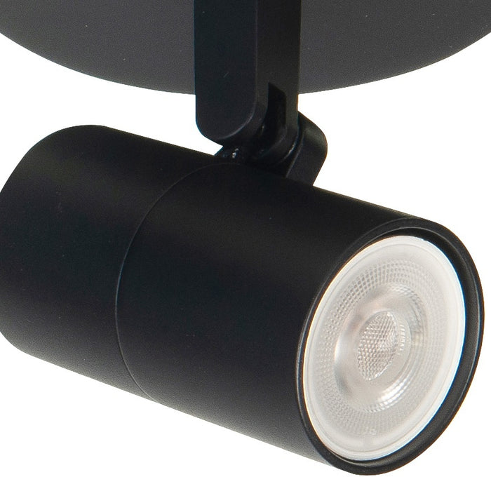 Highlight Spot Piccolo Zwart GU10 mini 35mm  1-Lichts