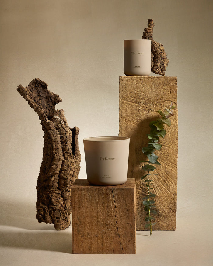 4341205e-0c3d-491d-876e-208f1ad130c2-afbeelding9.jpg (9068482) 