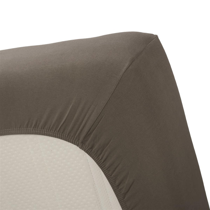 Beddinghouse Jersey Lycra - Hoeslaken - 90x200/220 - Warm Grijs