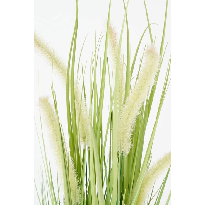 Mica Decorations Dogtail Gras Kunstplant - H53 x Ø30 cm - Groen