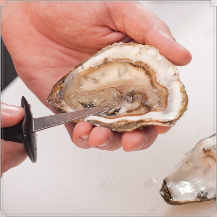 OTIX Oestermes Oesterbreekmes Zwart 14.5x5x1.7 cm RVS