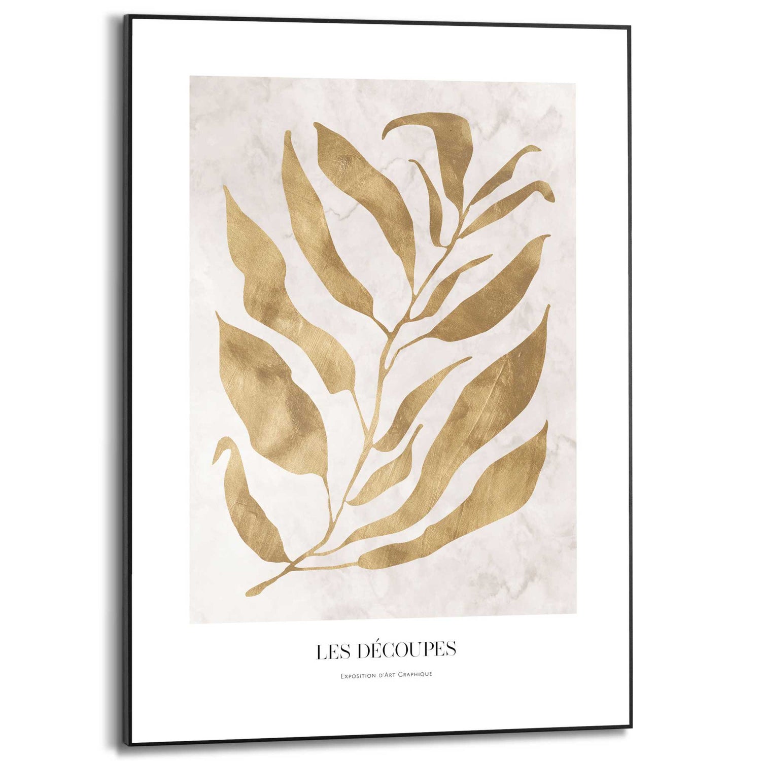 90310_12.jpg (9156663) 